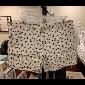Ann Taylor shorts